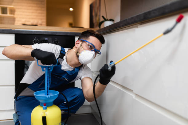 Best Pest Prevention Services  in Clendon, AR