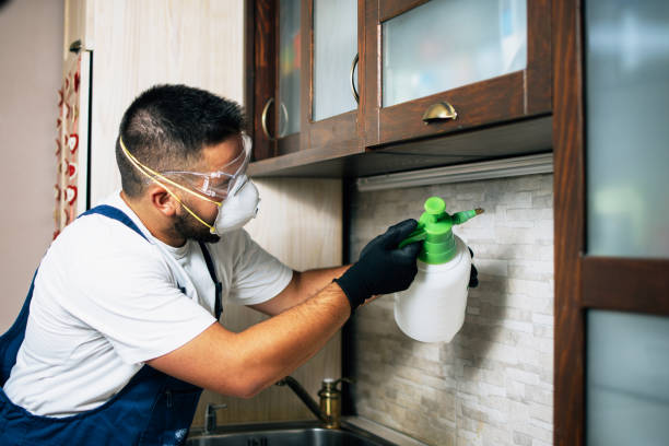  Clendon, AR Pest Control Pros