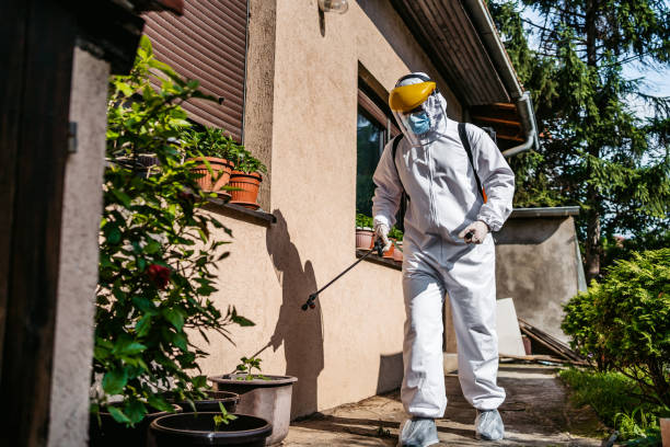 Best Pest Inspection Near Me  in Clendon, AR