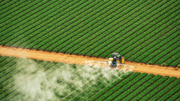 Reliable Clarendon, AR Pest Control Solutions
