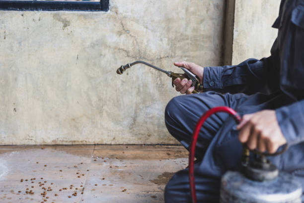 Best Termite Control Services  in Clendon, AR